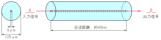 single mode fiber