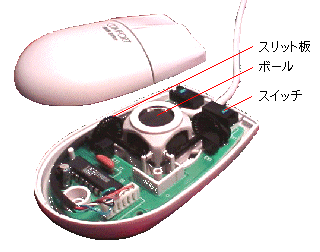 Mouse