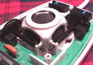 Mouse