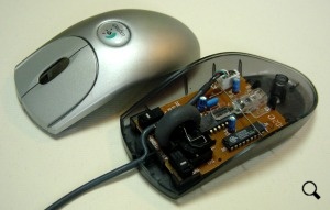 Mouse