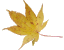 �g�t